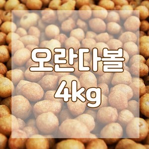 오란다볼 4kg 퍼핑콩 오란다알알이, 1개