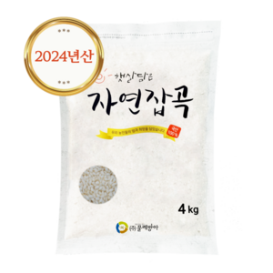 국산 찹쌀 4kg, 1개