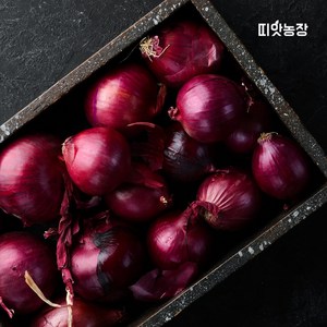 띠앗농장 제주 자색양파, 1개, 3kg(특)