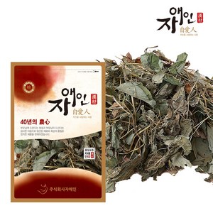 자애인 국산 말린 어성초 어성초잎, 300g, 1개