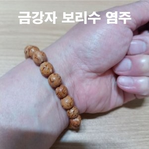 금강자 보리수 염주팔찌, 19센티-여성 굵은 편/남성 가는 편, 1개