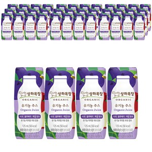 상하목장 유기농 주스 사과블루베리케일, 125ml, 48개