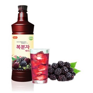 광야식품 복분자 베이스 970ml, 2개