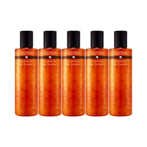 [시즌1] 아우라아듀라 헤어트리트먼트 250ml x 5EA, 5개