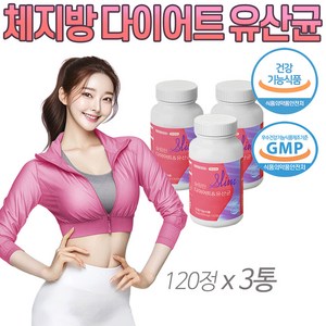 상품선택) Glp-1 유산균 지엘핏 다이어트 유산균 지엘피 / 가르시니아 비피더스 남자 여자 다이어트 유산균 중년 장년 장건강 캄보지아 추출물 프로바이오틱스 식약처인증, 3박스, 120정