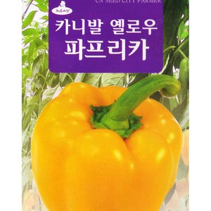 카니발 옐로우 파프리카 씨앗 10립 노랑 파프리카 종자, 1개