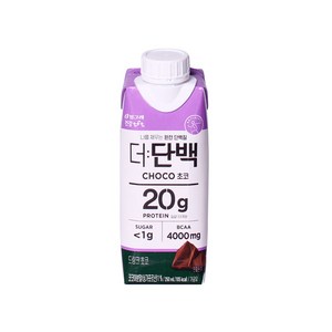 빙그레 더단백 드링크 초코, 250ml, 9개