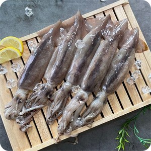 산지직송 통통 손질 통오징어 1팩당 2미씩 급냉, 1팩(270g 2미), 2개