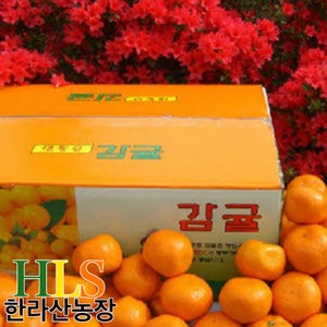 한라산농장 귤 10KG 중대과 L~2L 홍보용 불만족 시 무료반품, 1개