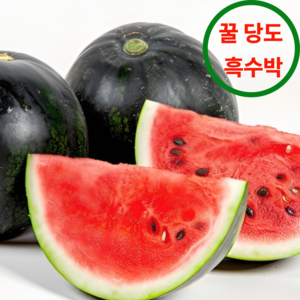 [재구매율1위]꿀당도 13bix이상 산지직송 프리미엄 흑수박, 1개, 4kg 내외