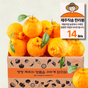 제주농원 14Brix 당도선별 한라봉 가정용, 1박스, 5kg(25과 내외)