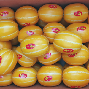 성주 꿀 참외 로얄과 참외 1kg 10kg 한박스 [신흥유통][무료배송][산지직송], 1개, 참외 가정용 5kg 내외