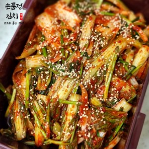 손품정 진짜 전라도 얼갈이 김치 겉절이 국내산, 1개, 5kg