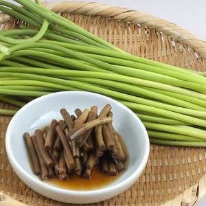 [특A급선별] 당일수확 국산 햇 마늘쫑, 1박스, 1kg