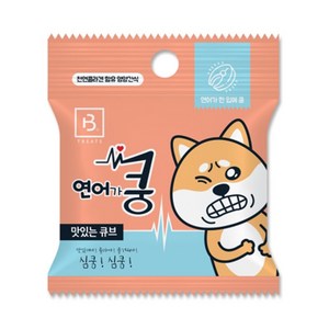 브리더랩 한입에 쿵 20g 연어 강아지간식, 10개