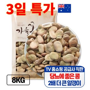 큰나무 자이언트 파바빈 대용량 4kg 공식 수입사 직판 당뇨콩, 2개