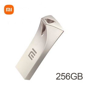 샤오미 금속 USB 플래시 드라이브 3.0 펜 고속 파일 전송 U 디스크 5 2GB TB C타입 메모리 스틱 2TB, 1개, 01 256GB, 한개옵션2