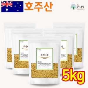 The큰나무 루피니빈 콩 루피니빈콩, 5개, 1kg