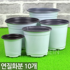 연질화분 화이트 9cm ~ 16cm - 이색포트 플라스틱 화분 다육이화분 포트 모종 모종포트 모종화분 화분포트 연질분 포트화분 플라스틱포트, 03_Sein_연질분(W)_13호(10개), 1개