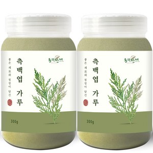 동의한재 국산 측백엽 측백잎 분말 가루, 300g, 2개