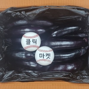 클릭마켓 국내산 가지 2.5kg, 1개