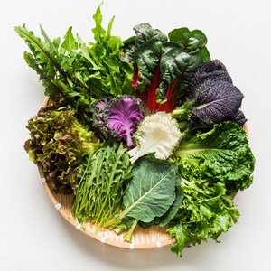 [아이스박스 포장] 유러피안 샐러드 모둠 쌈채소, 600g, 1박스