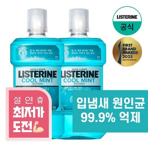 리스테린 쿨민트 구강청정제, 1L, 2개