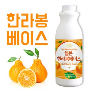 쉘몬 한라봉 음료베이스 1kg, 1개