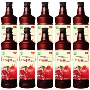 광야식품 생기석류 베이스 970ml, 10개