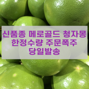 [고니네농수산] 최상품 메로골드 청자몽, 4개, 1박스