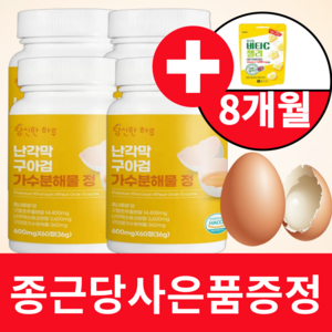 난각막 구아검 가수분해물 종근당사은품 식약청인증 HACCP 참신한하루, 4개, 60정