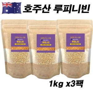 에코홀릭 루피니빈 호주산 루피니빈콩 루핀콩, 3개, 1kg