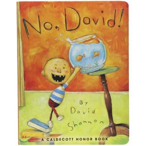 No David! : BOARDBOOK, Blue Sky Press (AZ)