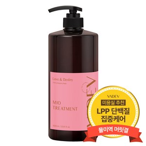 바디브 헤어 트리트먼트 1000ml 대용량 미용실 단백질 헤어팩 LPP 극손상 복구 손상모 러브앤데스티니향, 1L, 1개