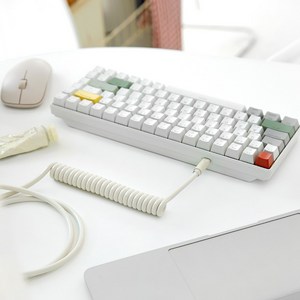 라이프썸 키보드 코일 케이블 1.6M USB C타입 (LFS-HA52) 기계식키보드 커스텀 항공케이블 USB A 젠더포함, 코코넛밀크, 1개