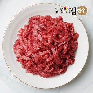 [농협안심한우][냉장] 1등급 한우 잡채용 소고기 400g, 1개