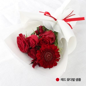 꽃시장 직배송[ 랜덤플라워 컬러 미니 꽃다발] 졸업식 꽃다발 생화택배 농장 생화꽃, 레드, 1개