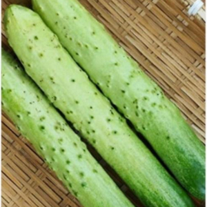 [싱글벙글] 백오이3개, 3개, 400g