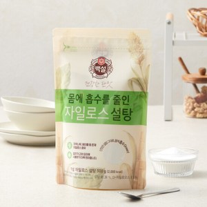 CJ 백설 하얀 자일로스설탕, 500g, 1개