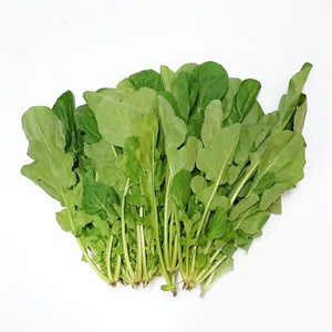 루꼴라 rucola 1kg 로케트 아르굴라, 1개