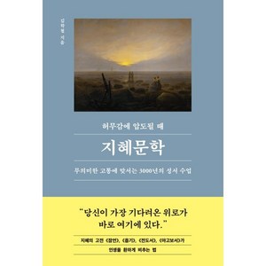 허무감에 압도될 때 지혜문학, 21세기북스, 김학철 저