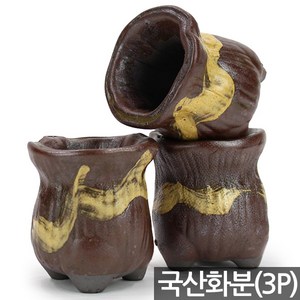 세인화분 얼씨구 화분 3P 세트 - 다육화분 다육이화분, 3개, 약 85x90x65mm, 얼씨구(S288)