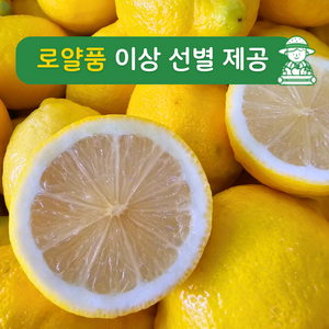 로얄 레몬 프리미엄 품질 선별 미국 칠레 소량 대량 레몬, 1박스, 2kg