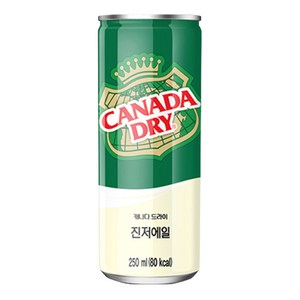 캐나다드라이 진저에일 250ml X 30캔, 30개