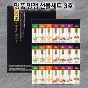 밀양한천 양갱종합선물세트 45gX21개입(쇼핑백포함), 1개, 945g