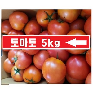 (정품/주스용 아님) 싱싱한 토마토 오늘-출고/국내산, 1박스, 5kg