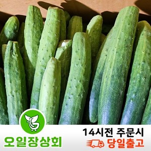 ( 오일장 상회 ) 국내산 다다기오이 백오이 지오이 업소용 식당용 중품 C품 45개내외, 1개, 9kg~10kg