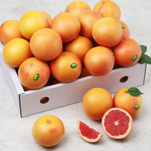 장보남 레드 자몽, 1박스, 5kg(12-20과)