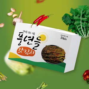 알싸하고 톡쏘는 맛있는 풍년들 갓김치 종이박스, 1개, 10kg