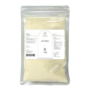 자연의숲 살구씨분말가루 천연분말, 100g, 1개